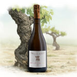 Les 2 Vignes