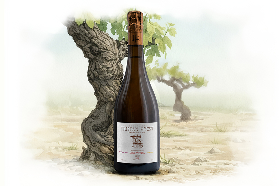 Les 2 Vignes