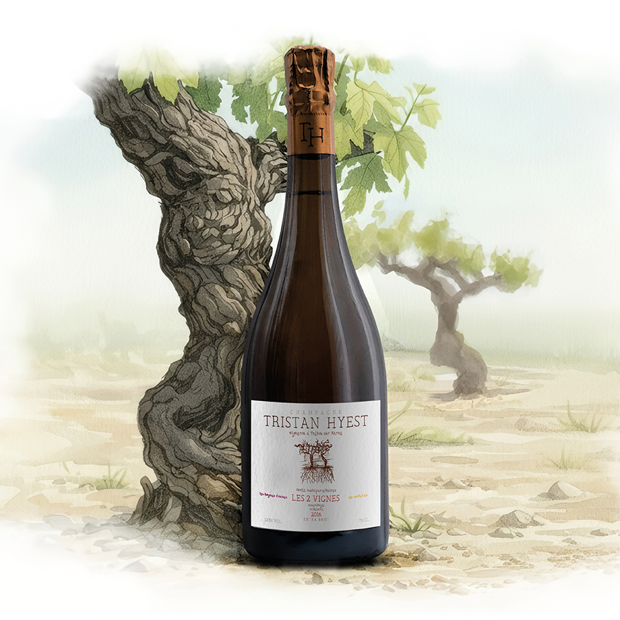 Les 2 Vignes - Ambiance
